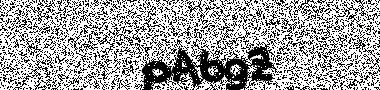 no image verification